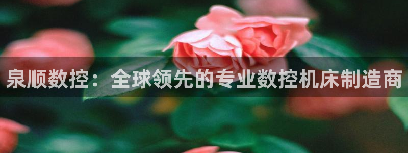 天辰娱乐总管:泉顺数控:全球领先的专业数控机床制造商