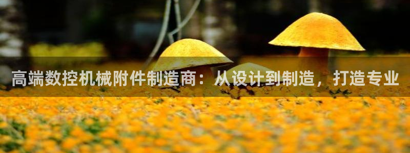 天辰娱乐下载:高端数控机械附件制造商:从设计到制造,打造专业