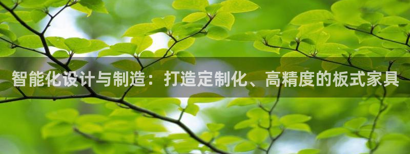 天辰娱乐小妹:智能化设计与制造:打造定制化、高精度的板式家具