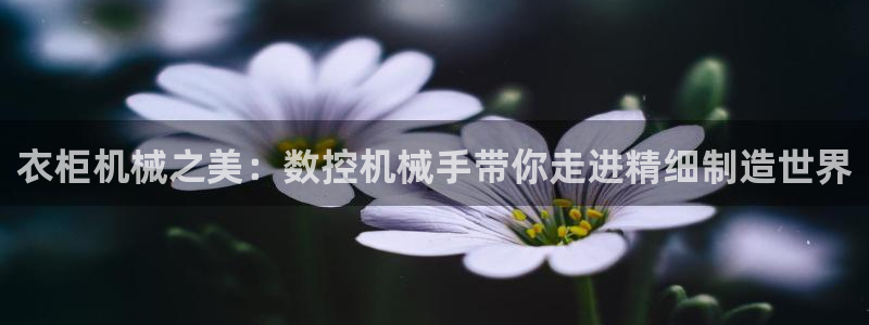 南充天辰娱乐:衣柜机械之美:数控机械手带你走进精细制造世界