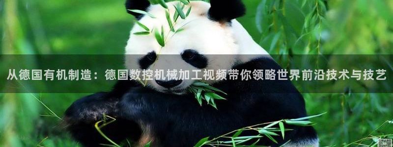 天辰娱乐会员:从德国有机制造:德国数控机械加工视频带你领略世界前沿技术与技艺
