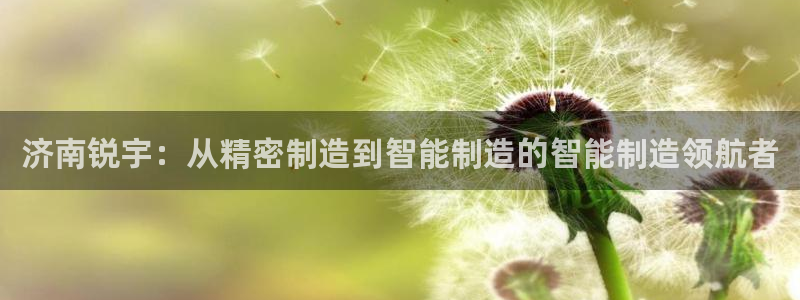 天辰辰娱乐代理:济南锐宇:从精密制造到智能制造的智能制造领航者