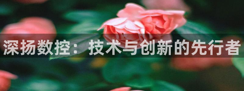 天辰娱乐官方登录入口:深扬数控:技术与创新的先行者