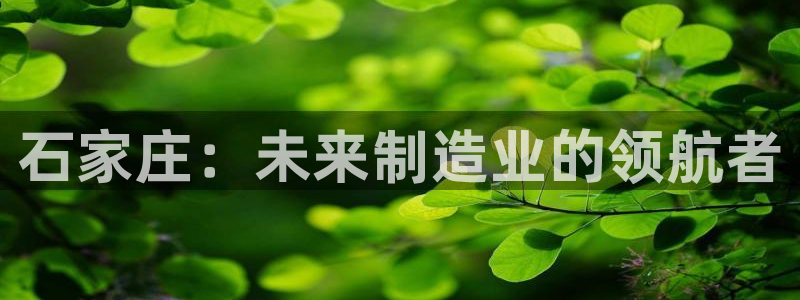 下载天辰娱乐:石家庄:未来制造业的领航者