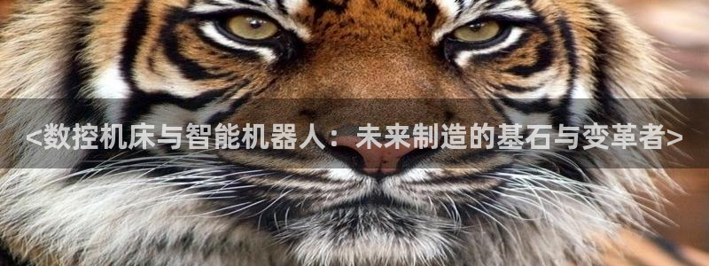 天辰娱乐 44516:<数控机床与智能机器人:未来制造的基石与变革者>
