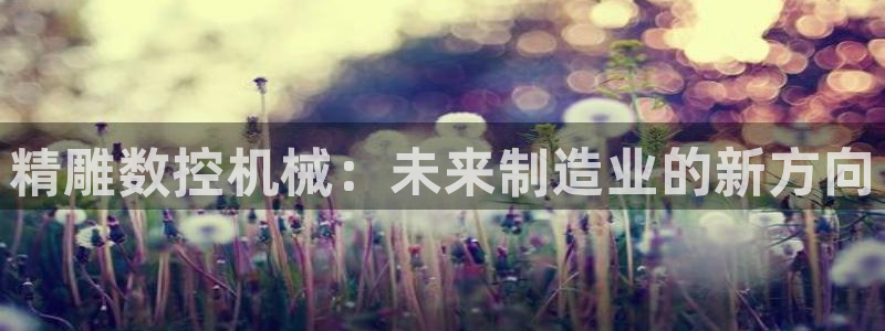 天辰娱乐 qq:精雕数控机械:未来制造业的新方向