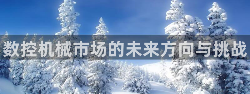 天辰娱乐481928:数控机械市场的未来方向与挑战