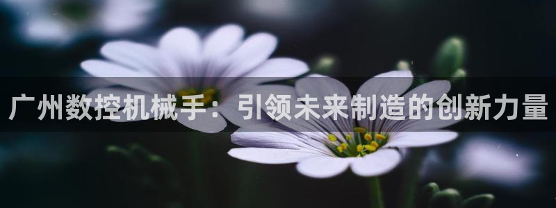 天辰娱乐 注册:广州数控机械手:引领未来制造的创新力量