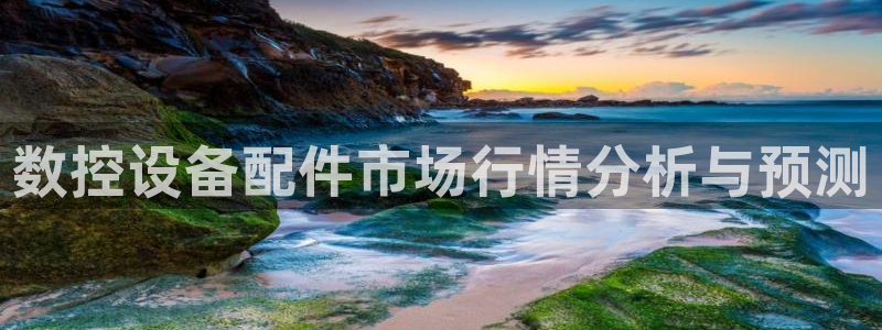 天辰娱乐44516:数控设备配件市场行情分析与预测