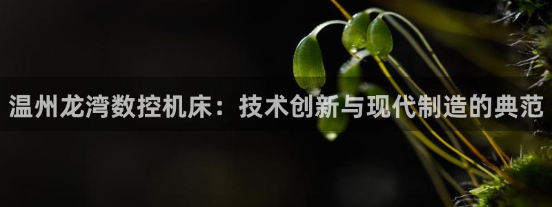 天辰娱乐上级:温州龙湾数控机床:技术创新与现代制造的典范