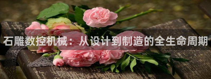 天辰娱乐股票:石雕数控机械:从设计到制造的全生命周期