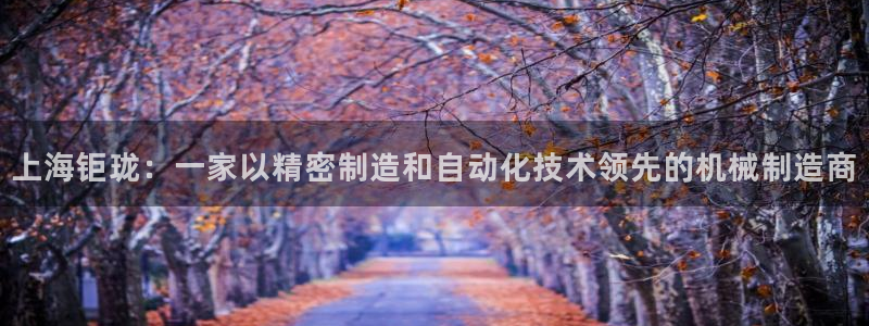 天辰娱乐厕所:上海钜珑:一家以精密制造和自动化技术领先的机械制造商