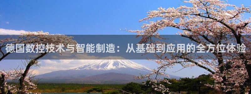 天辰娱乐酒店:德国数控技术与智能制造:从基础到应用的全方位体验